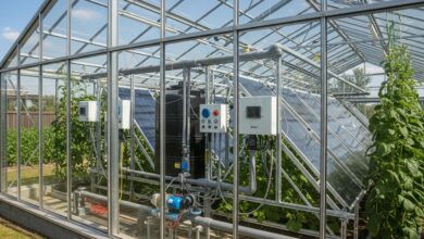 Solarheizung fürs Gewächshaus - Vorteile und Lösungen