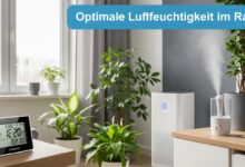 Optimale Luftfeuchtigkeit im Raum - Die besten Tipps