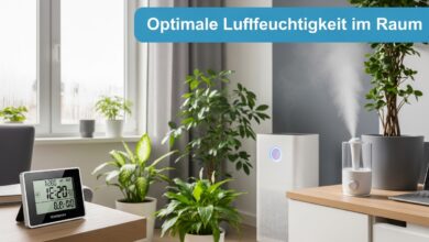 Optimale Luftfeuchtigkeit im Raum - Die besten Tipps [Bildinhalt mit KI erstellt]